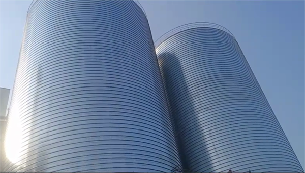 阜阳2座混凝土高架卷板仓